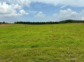  Land for sale in Senai, Kulaijaya, Senai