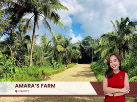  Land for sale in Cavite, Calabarzon, Alfonso, Cavite