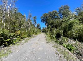  토지을(를) 로스 라고스에서 판매합니다., Puerto Varas, Llanquihue, 로스 라고스