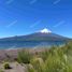  Terreno (Parcela) en venta en Chile, Puerto Varas, Llanquihue, Los Lagos, Chile
