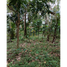  Land for sale in Cavite, Calabarzon, Amadeo, Cavite