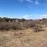  Land for sale in Punilla, Cordoba, Punilla