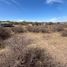  Land for sale in Punilla, Cordoba, Punilla