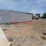  Terreno (Parcela) en venta en Castilla, Piura, Castilla, Piura, Piura