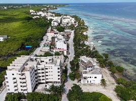1 Habitación Apartamento en venta en Othon P Blanco, Quintana Roo, Othon P Blanco