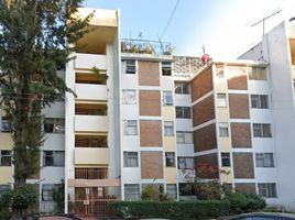 2 Schlafzimmer Wohnung zu verkaufen in Benito Juarez, Mexico City, Benito Juarez