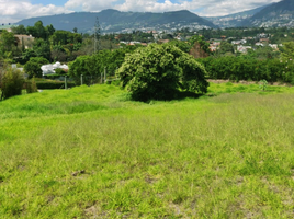  Terreno (Parcela) en venta en Cumbaya, Pichincha, Cumbaya
