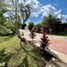 5 Habitación Quinta en venta en Paraiso, Tabasco, Paraiso, Tabasco, México