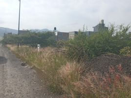  Land for sale in Morelia, Michoacan, Morelia, Michoacan