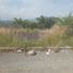  Land for sale in Morelia, Michoacan, Morelia, Michoacan