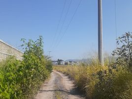  Grundstück zu verkaufen in Temixco, Morelos, Temixco, Morelos