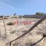  Terreno (Parcela) en venta en Piura, Piura, Piura, Piura, Piura