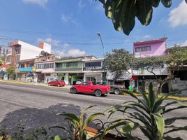 在Veracruz出售的8 卧室 屋, Coatepec, Veracruz