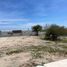 Terrain à vendre à La Paz, Baja California Sur, La Paz