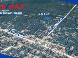  Land for sale in Cozumel, Quintana Roo, Cozumel