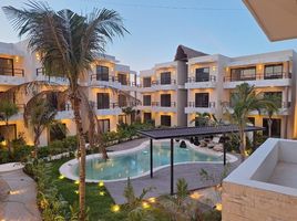 1 Habitación Apartamento en venta en Cozumel, Quintana Roo, Cozumel, Quintana Roo