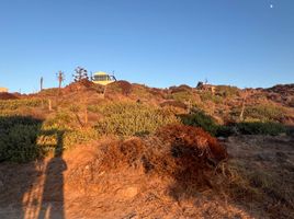 Terreno (Parcela) en venta en Ensenada, Baja California, Ensenada