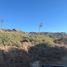  Terreno (Parcela) en venta en Ensenada, Baja California, Ensenada
