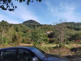  Land for sale in Balungao, Pangasinan, Balungao