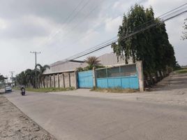  Land for sale in Santo Tomas, Calabarzon, Santo Tomas