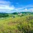  Terreno (Parcela) en venta en Consolacion, Central Visayas, Consolacion