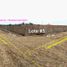  Land for sale in Chancay, Lima, Chancay