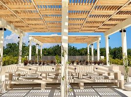 1 Schlafzimmer Wohnung zu verkaufen in Cozumel, Quintana Roo, Cozumel