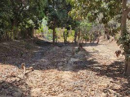  Land for sale in Ica, Salas, Ica, Ica