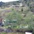  Land for sale in Azuay, El Cabo, Paute, Azuay