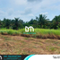  Land for sale in Cavite, Calabarzon, Tagaytay City, Cavite