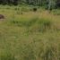  Land for sale in Cebu Central Visayas, Alcantara