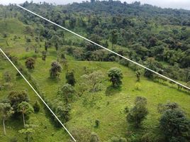  Terreno (Parcela) en venta en San Miguel de los Bancos, Pichincha, San Miguel De Los Bancos, San Miguel de los Bancos