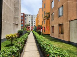 3 chambre Appartement for sale in San Luis, Lima, San Luis