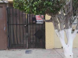 1 Bedroom Condo for rent in Tijuana, Baja California, Tijuana