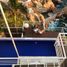 4 Schlafzimmer Villa zu verkaufen in Acapulco, Guerrero, Acapulco