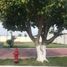  Land for sale in Matamoros, Tamaulipas, Matamoros