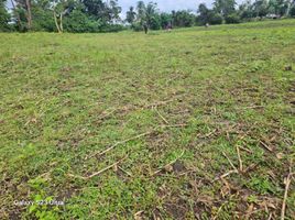  Land for sale in Bohol, Central Visayas, Inabanga, Bohol