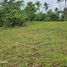  Land for sale in Bohol, Central Visayas, Inabanga, Bohol