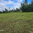  Land for sale in Inabanga, Bohol, Inabanga