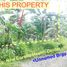  Land for sale in Davao del Norte, Davao, New Corella, Davao del Norte