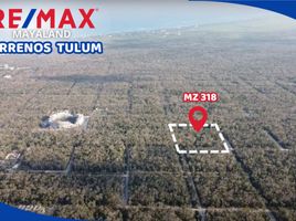  Terreno (Parcela) en venta en Cozumel, Quintana Roo, Cozumel