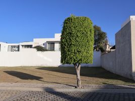  Terreno (Parcela) en venta en Atlixco, Puebla, Atlixco
