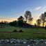  Land for sale in Chile, Puerto Montt, Llanquihue, Los Lagos, Chile