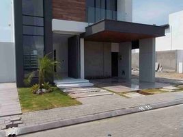 4 Habitación Villa en venta en Samborondón, Guayas, Samborondon, Samborondón