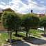3 Schlafzimmer Haus zu verkaufen in Leon, Guanajuato, Leon