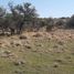  Land for sale in Punilla, Cordoba, Punilla