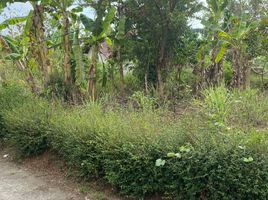  Grundstück zu verkaufen in Sleman, Yogyakarta, Minggir, Sleman