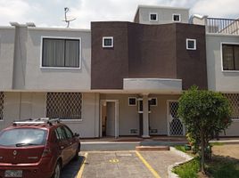 3 Habitación Casa en venta en Bicentenario Park, Quito, Quito, Quito