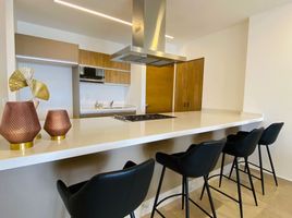 2 Schlafzimmer Appartement zu vermieten in San Luis Potosi, San Luis Potosi, San Luis Potosi, San Luis Potosi