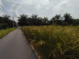  Grundstück zu verkaufen in Kuala Selangor, Selangor, Jeram